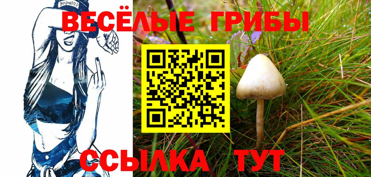 Псилоцибиновые грибы мухоморы Реж